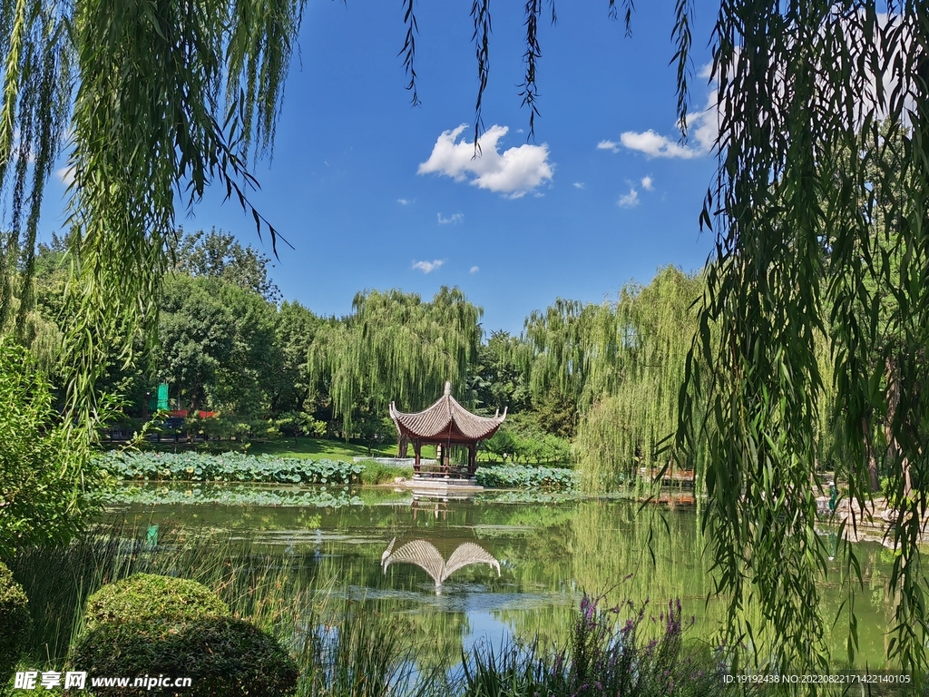 公园风景