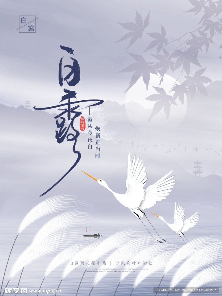 节气白露