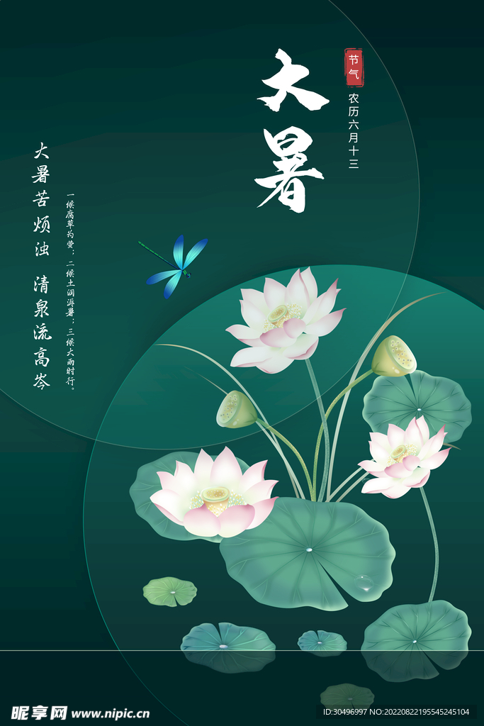 二十四节气大暑海报