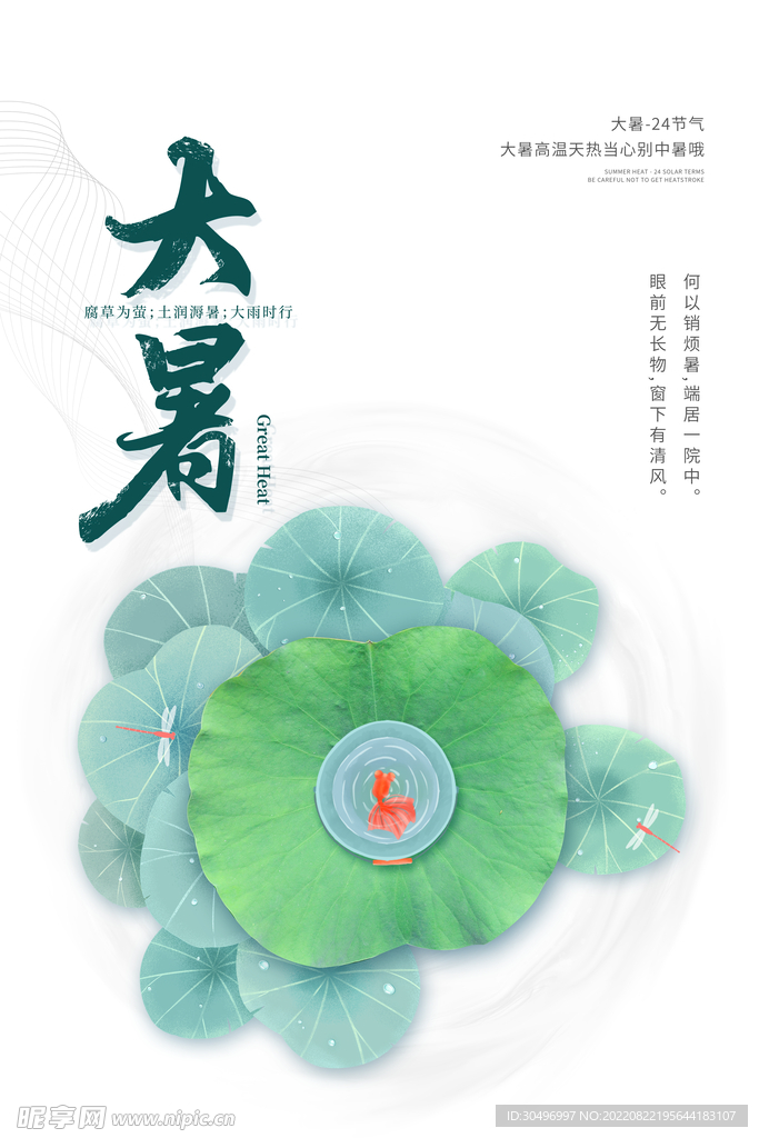 二十四节气大暑海报