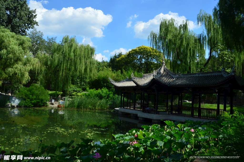 公园风景