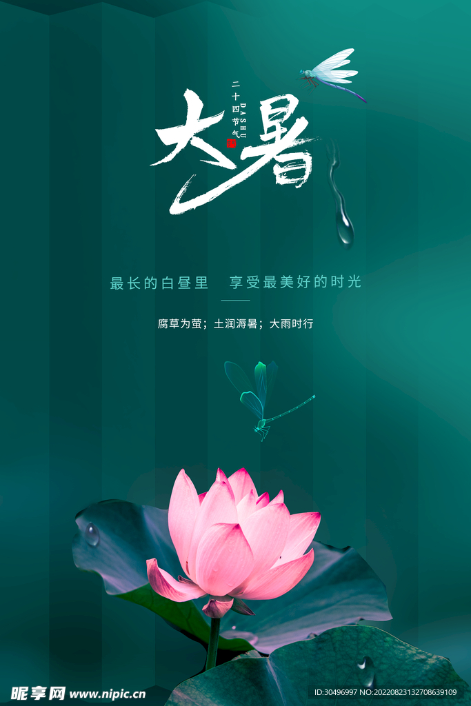 二十四节气大暑海报