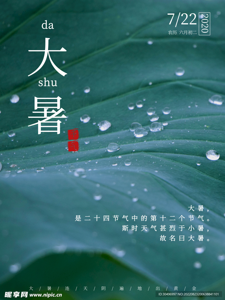 二十四节气大暑海报 