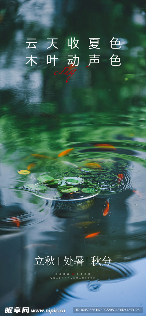 节气