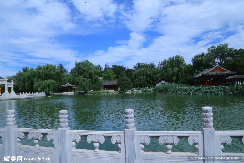 公园风景