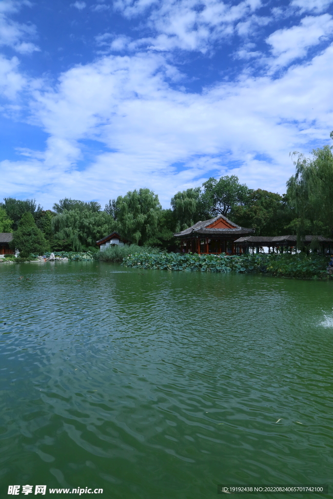 公园风景 