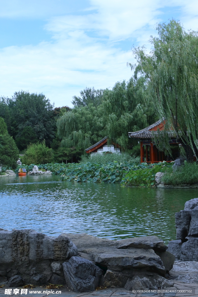 公园风景 
