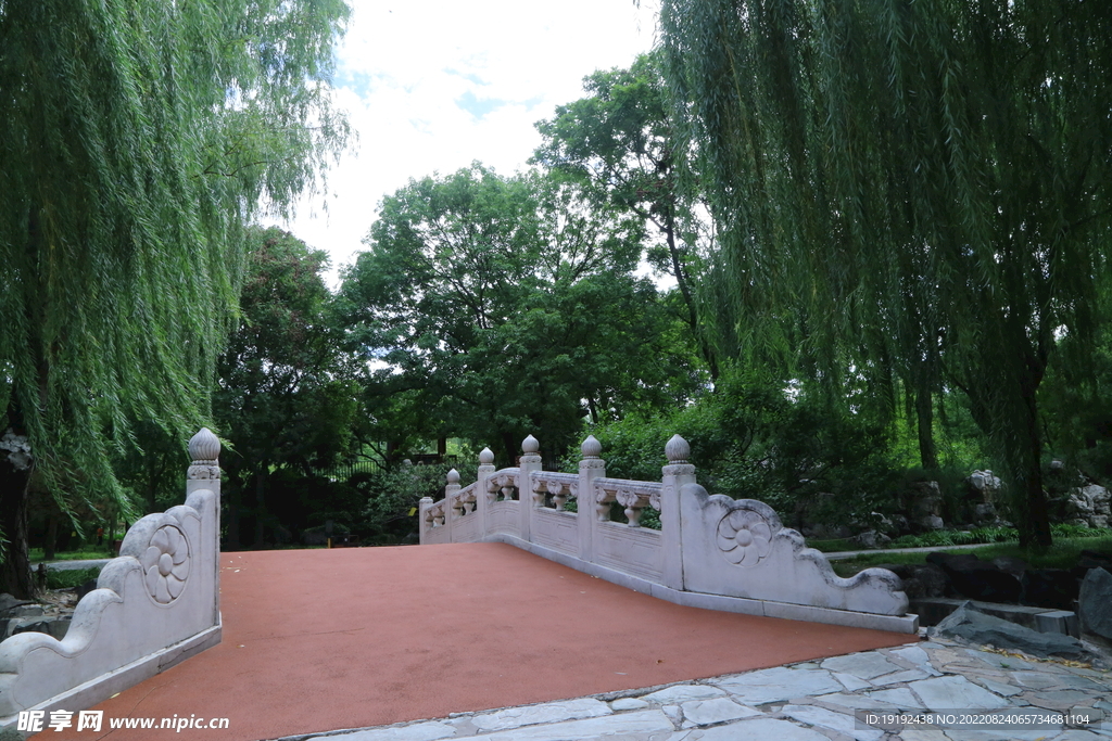 公园风景 