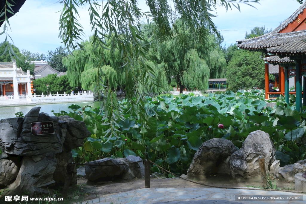 公园风景