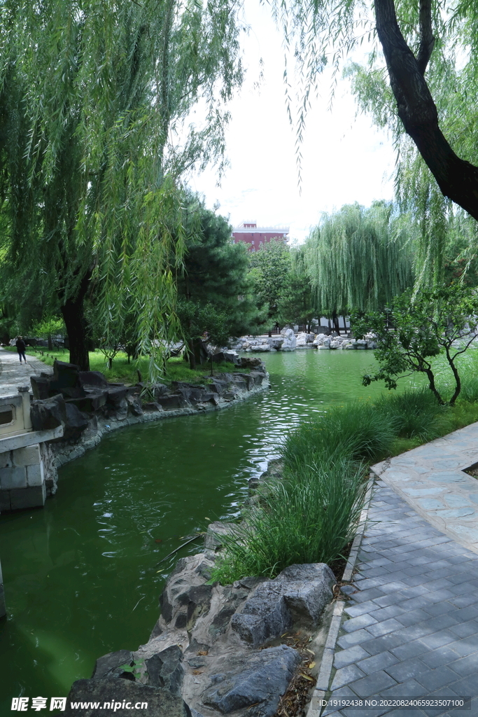 公园风景 