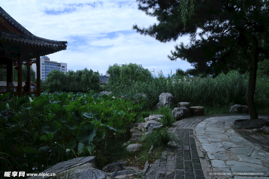 公园风景 