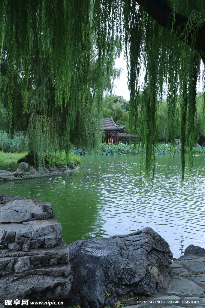 公园风景 