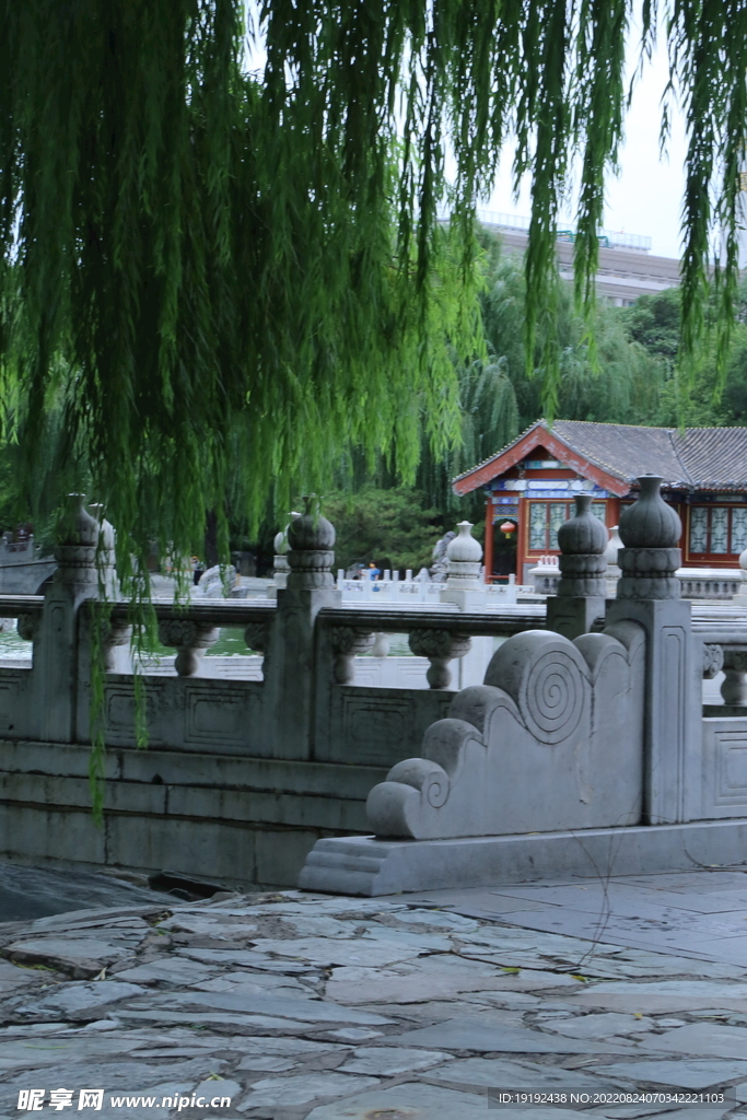 公园风景 