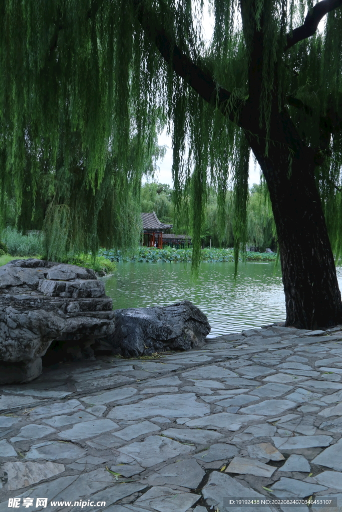 公园风景