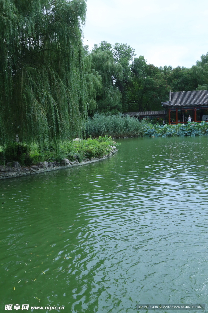 公园风景 