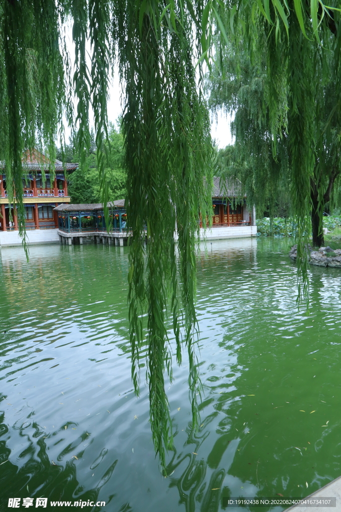 公园风景
