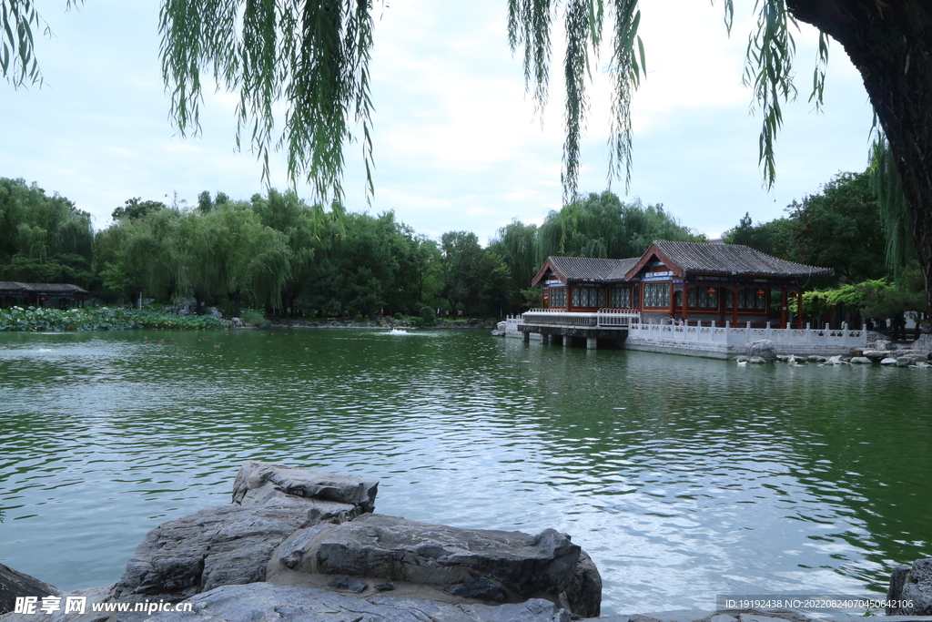 公园风景