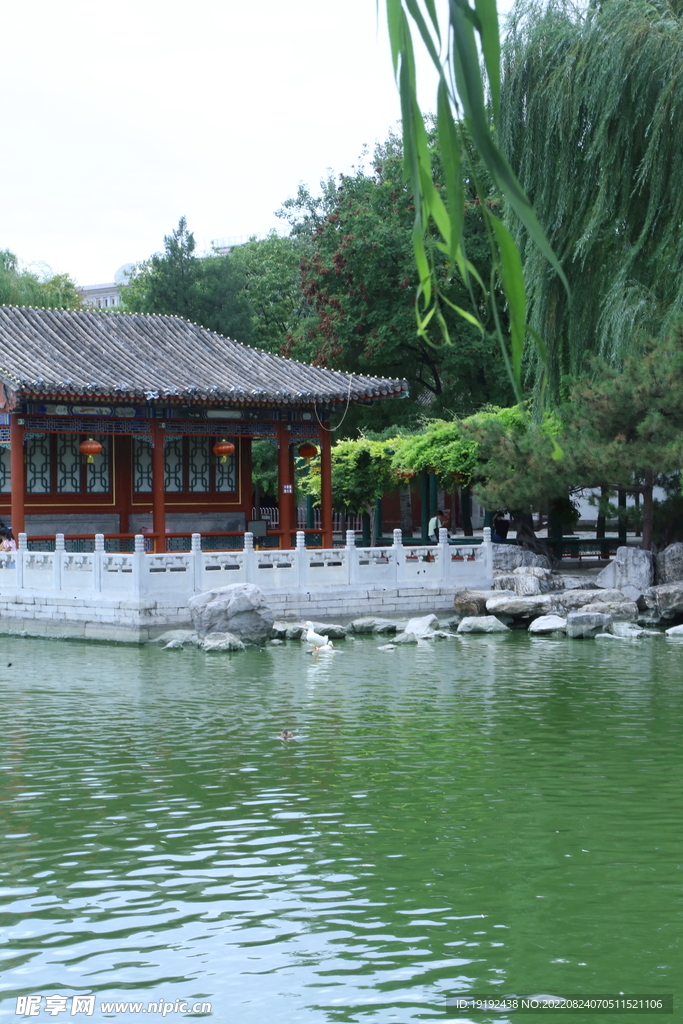公园风景 