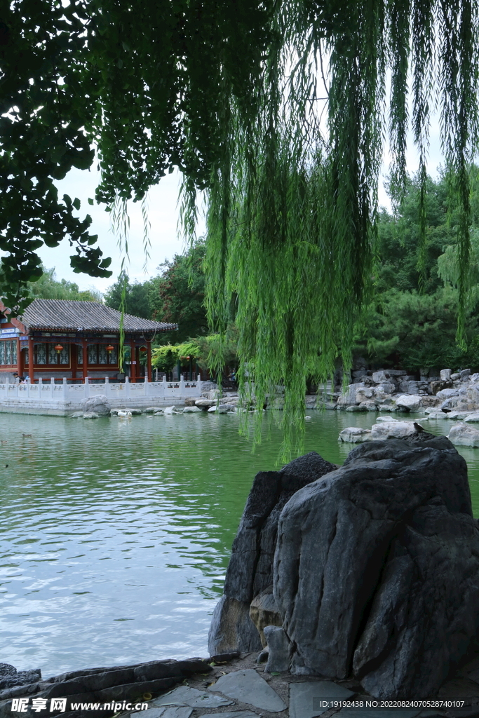 公园风景