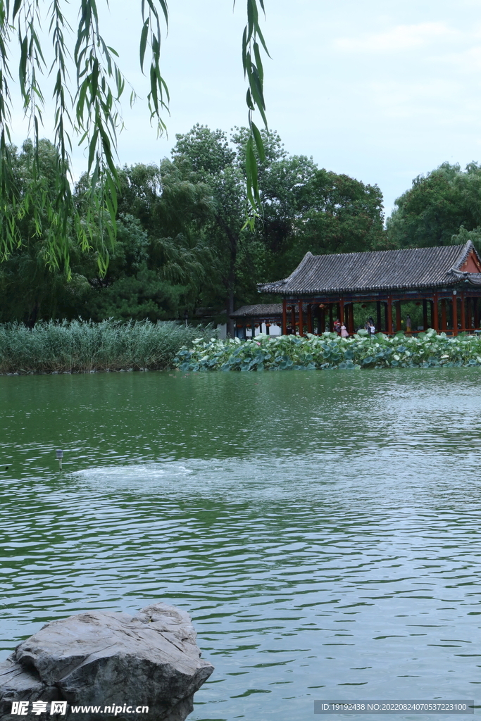 公园风景