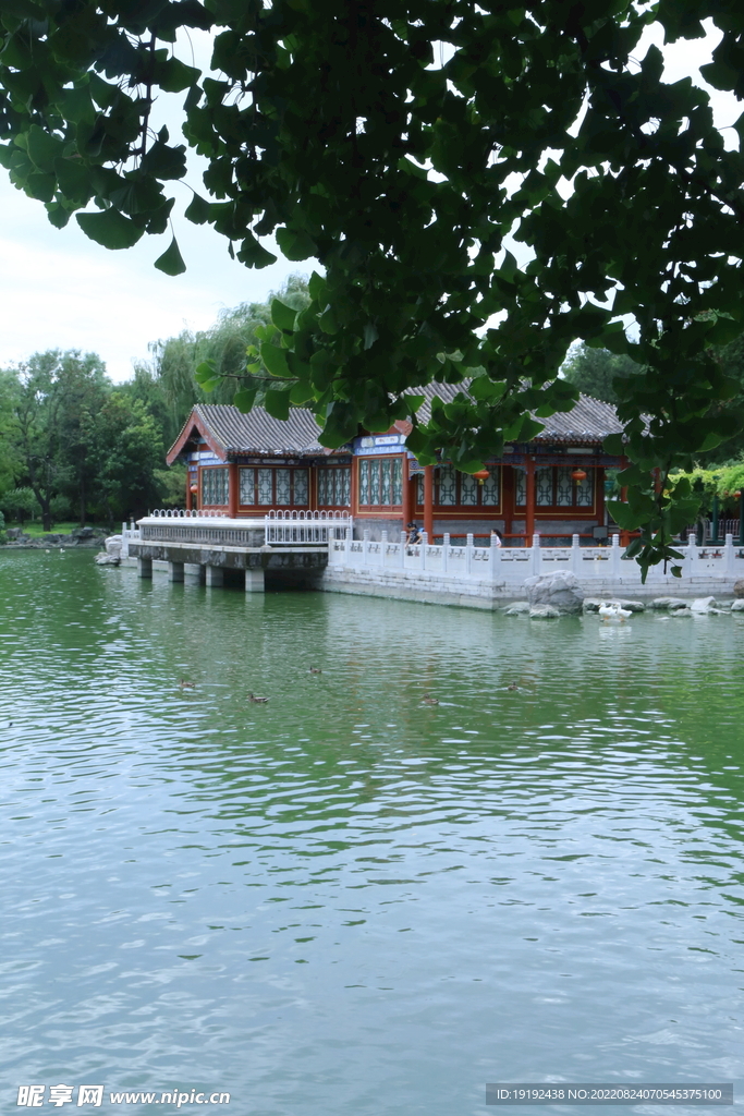 公园风景