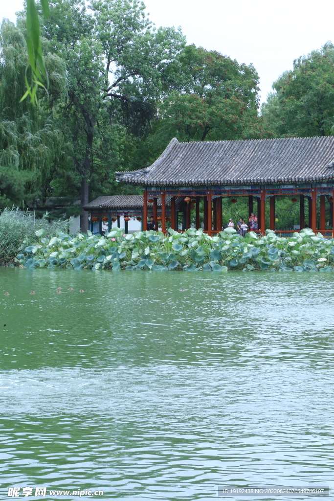 公园风景 