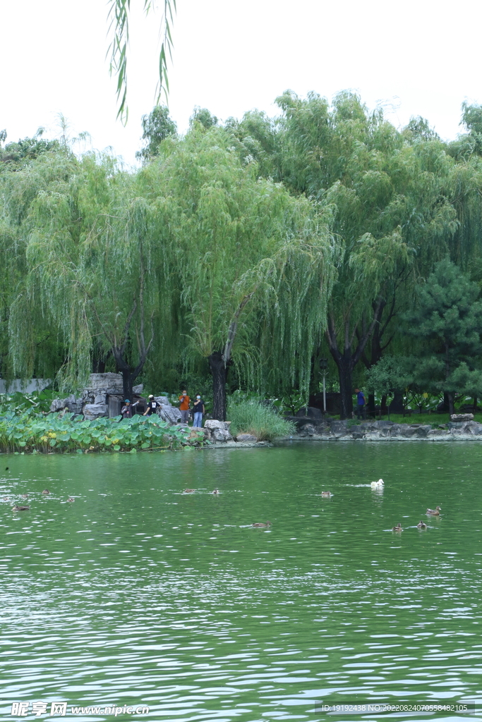 公园风景 