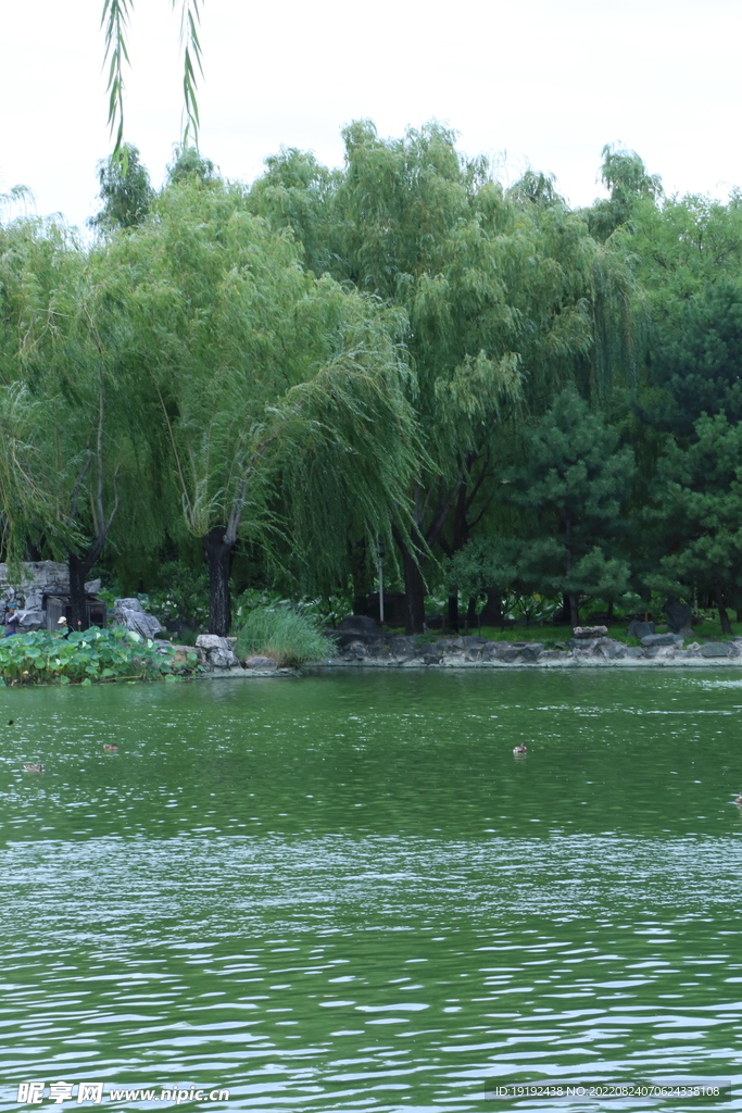 大观园风景 