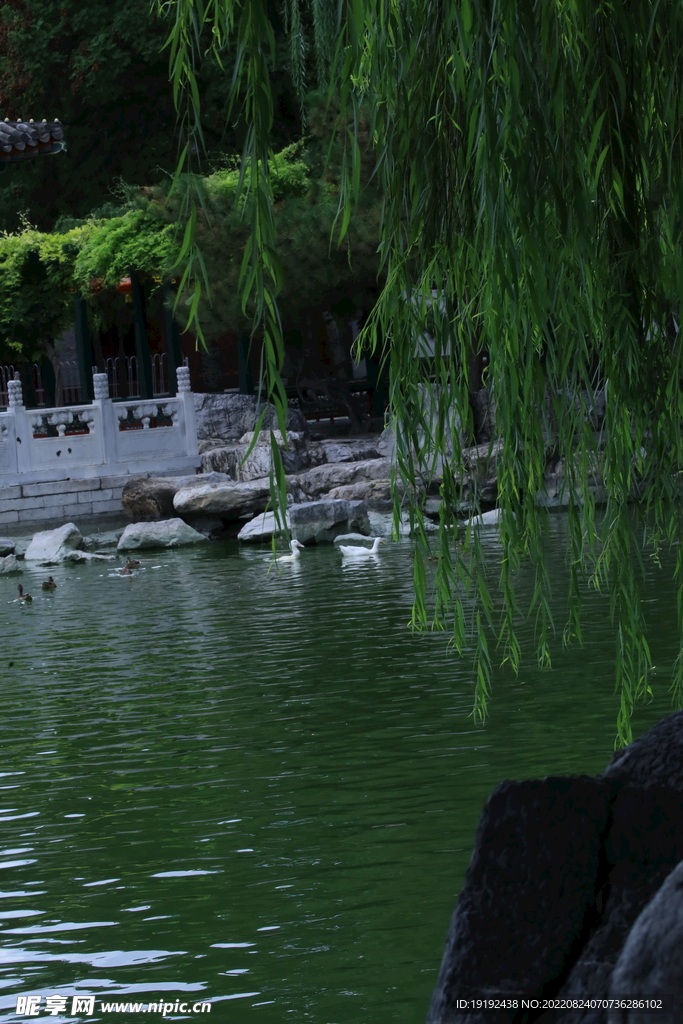 公园风景 