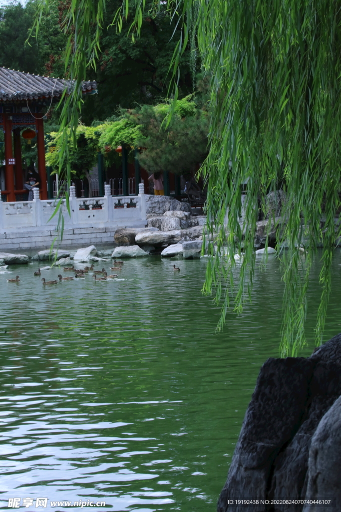 公园风景 