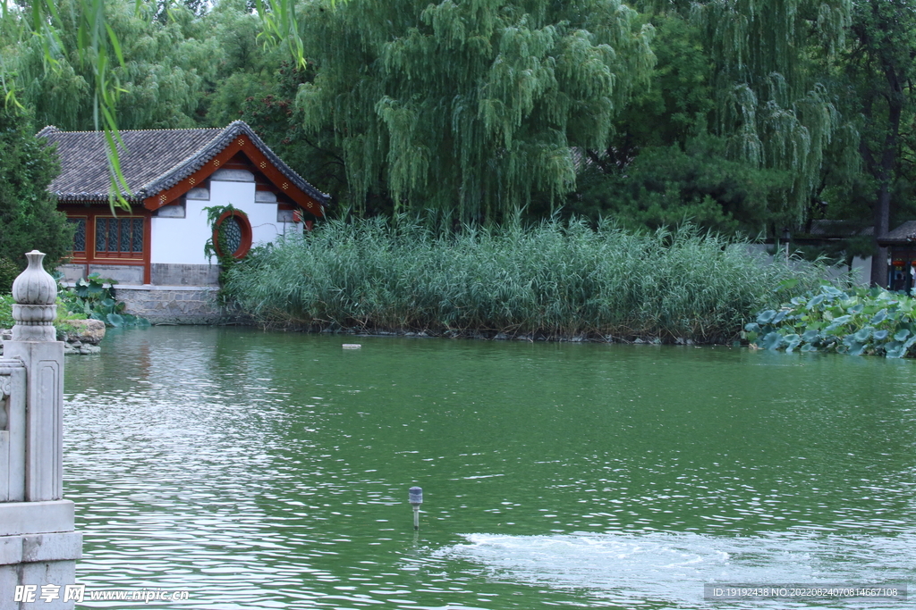 公园风景
