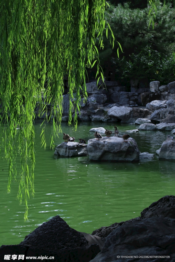 公园风景