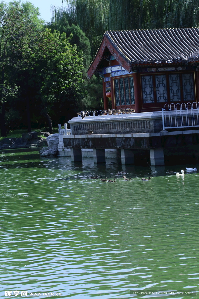 公园风景