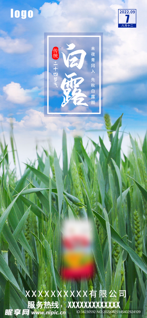 白露