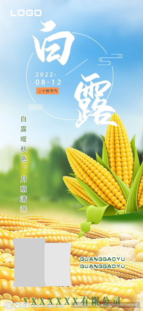 白露海报