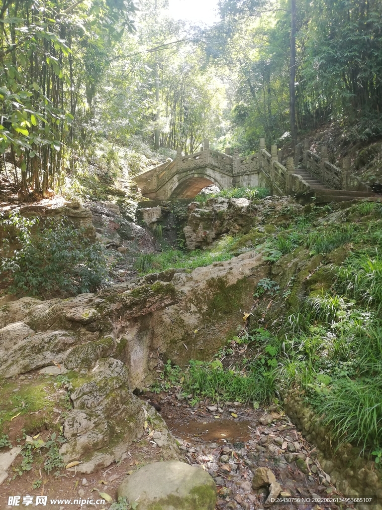 台阶石桥树林小路
