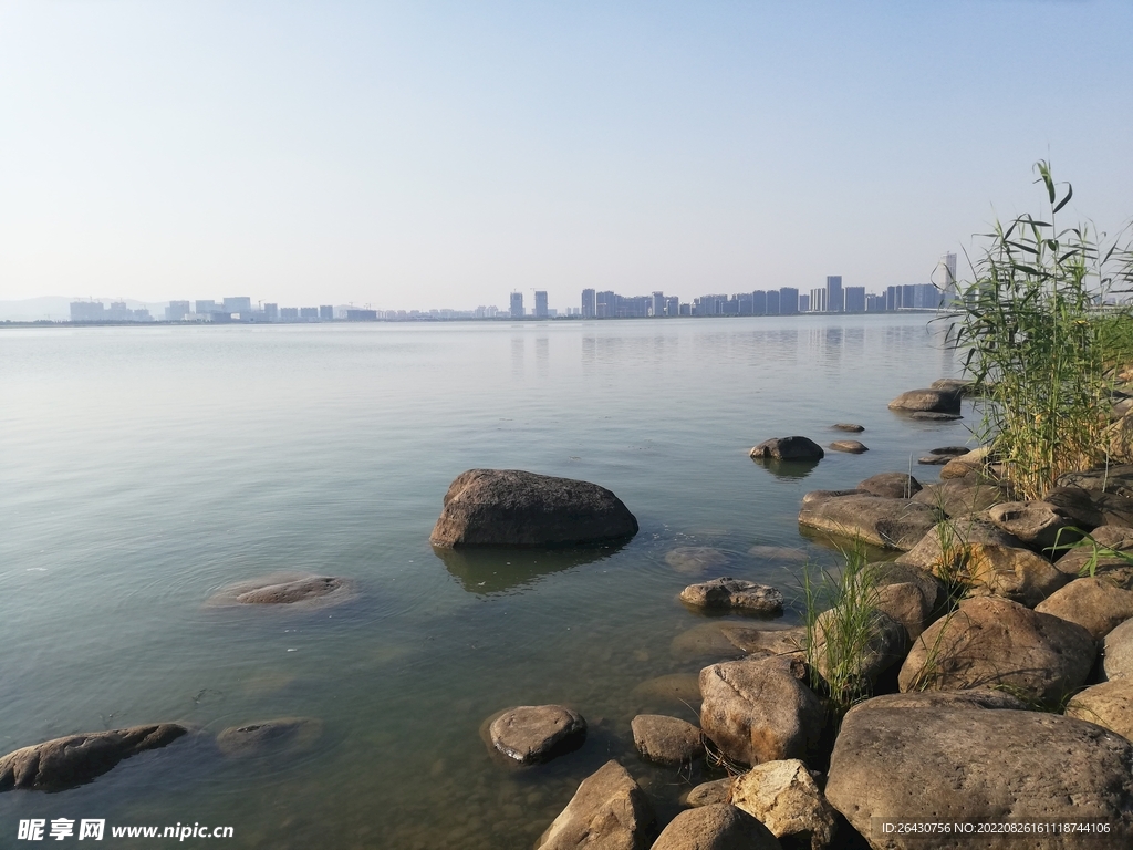 苏州湾湿地公园江景