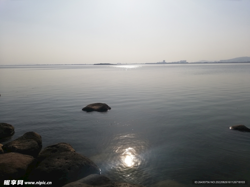 苏州湾湿地公园风光江景