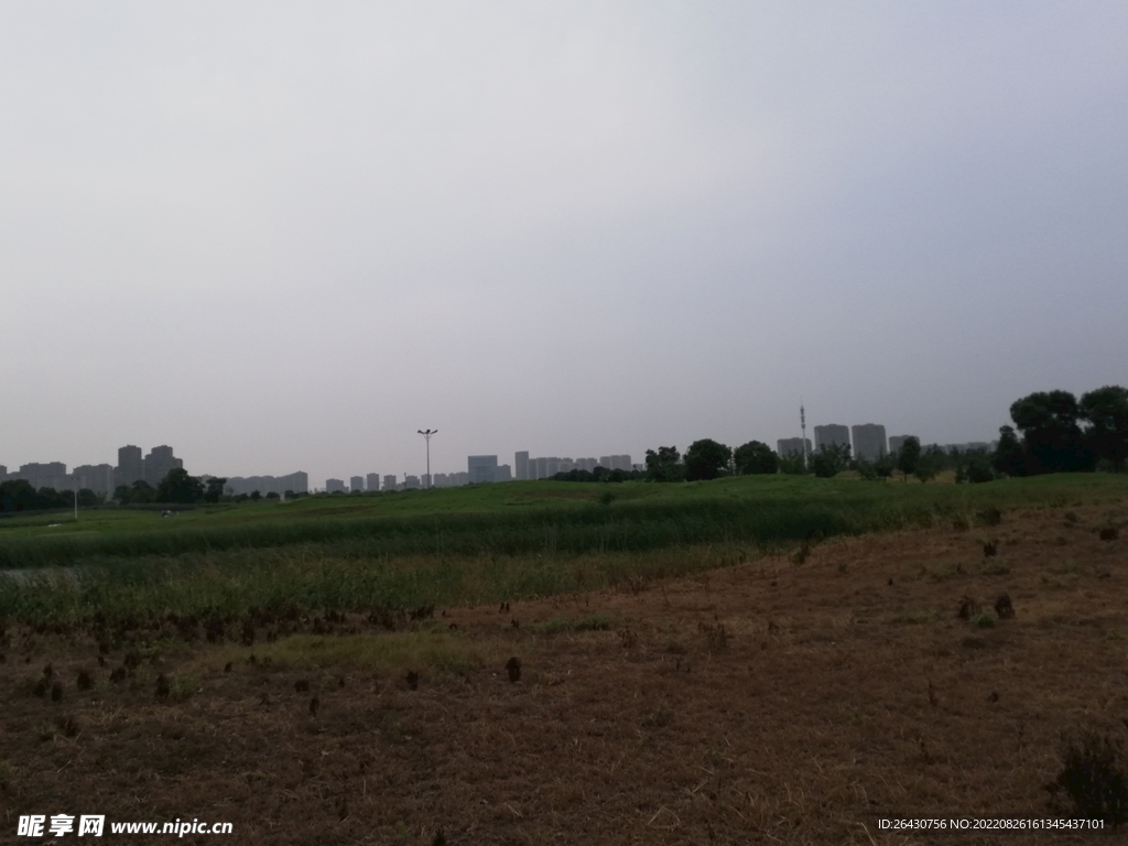 湿地公园风光