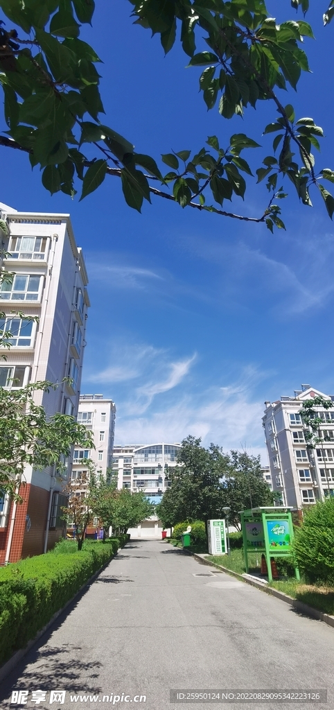 秋高气爽 