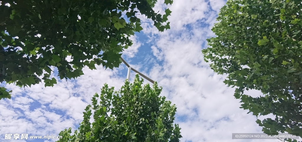 秋高气爽