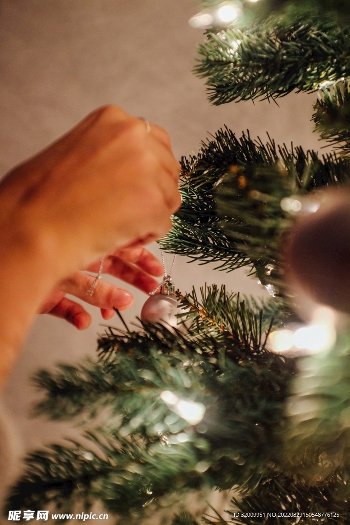 圣诞树            