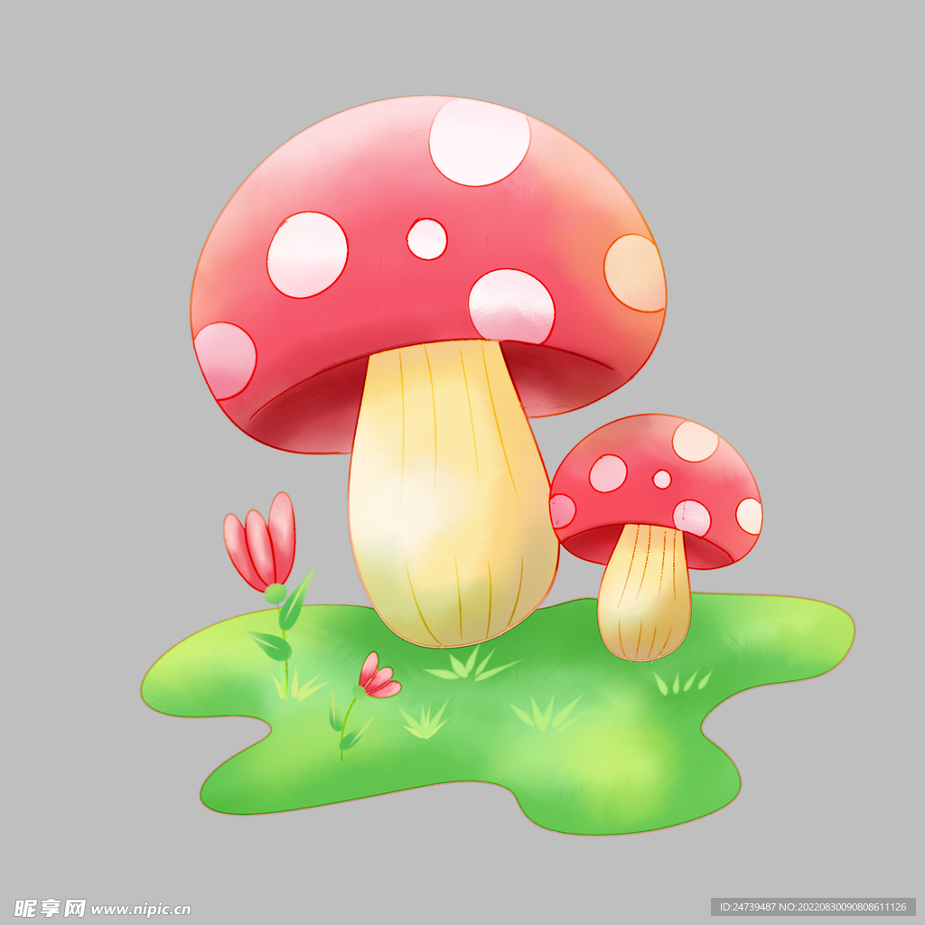 蘑菇
