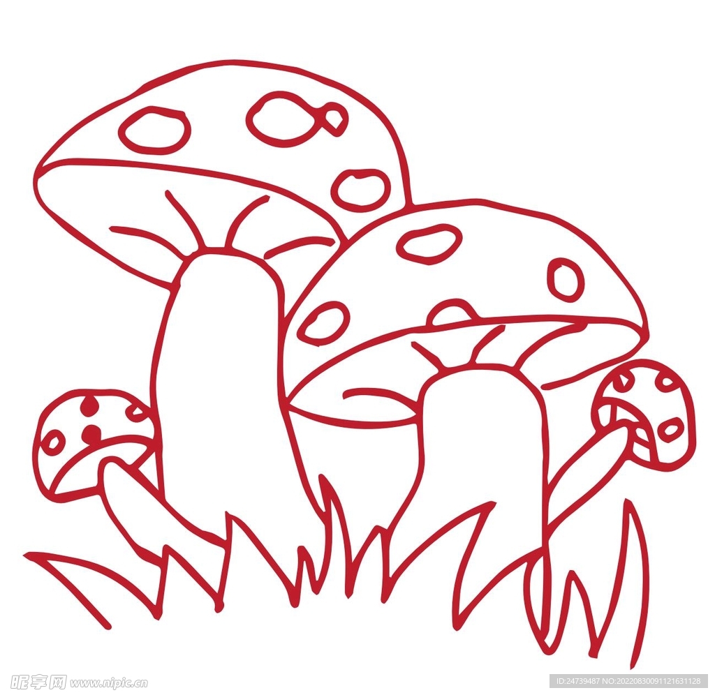 蘑菇