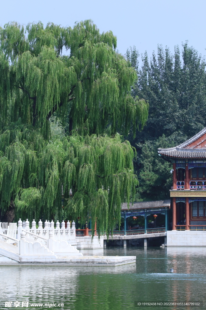 公园风景 