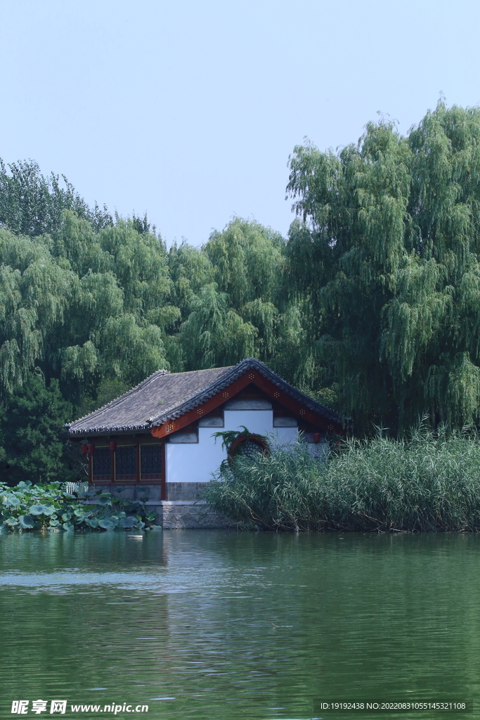 公园风景