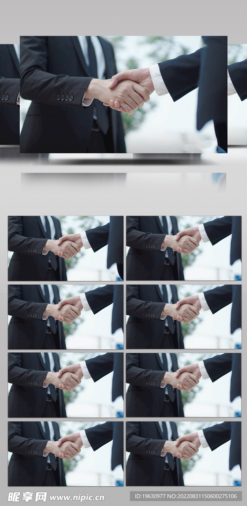 广告合作交流视频