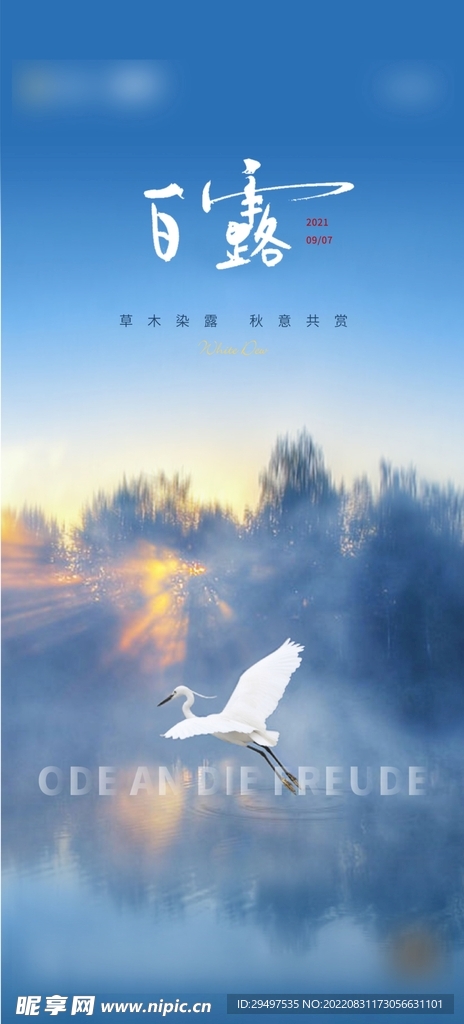 房地产白露微信单图图片