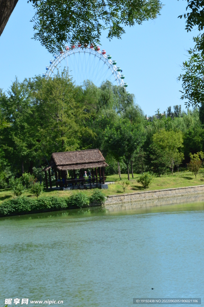 公园风景
