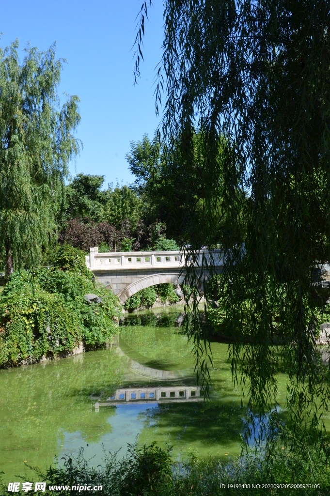公园风景 